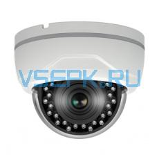 IP камера видеонаблюдения Sunkwang SK-ND331IR/SO (2.8-12) купольная, для помещения, 3,1 МП.